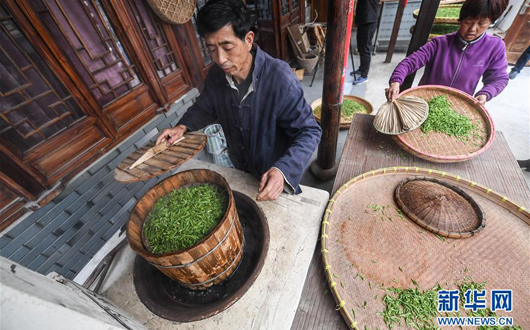  传承千年唐代紫笋茶饼技艺