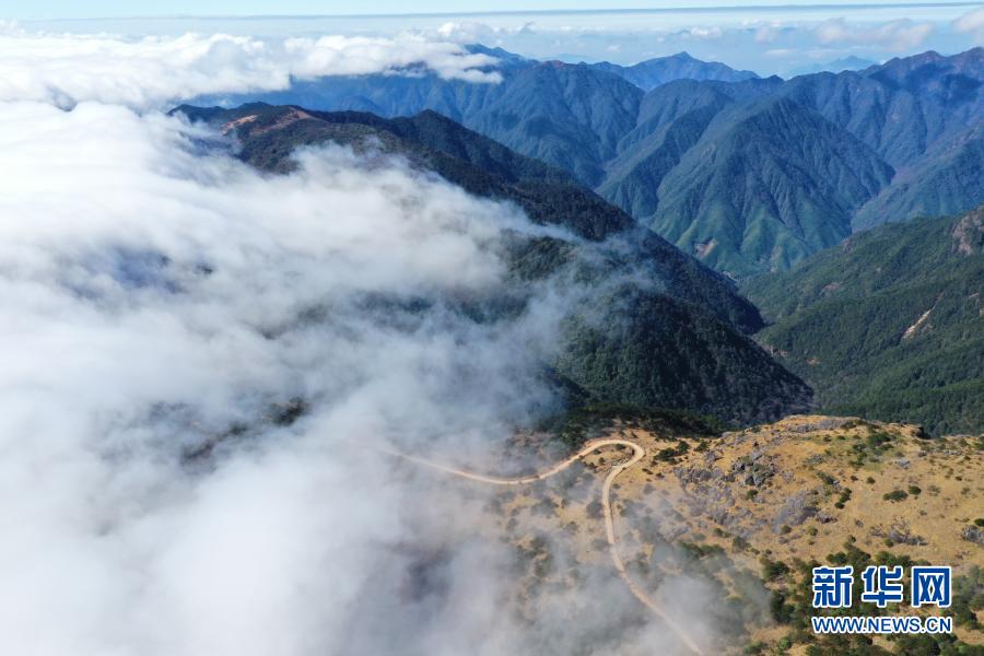 12月1日，车辆行驶在云雾缭绕的武夷主峰黄岗山顶（无人机照片）。新华社记者 姜克红 摄