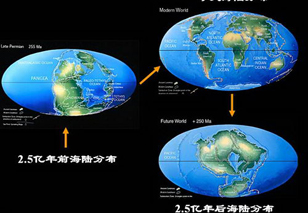 大陆板块漂移理论获证实