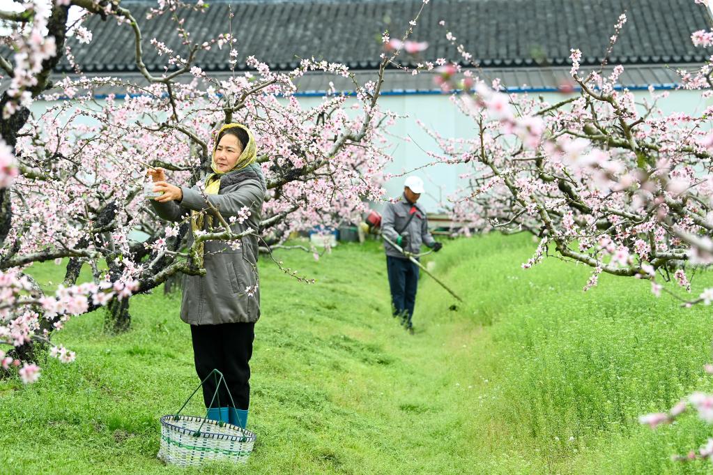 新华全媒+丨耕耘在春天--来自当前农业生产一线的故事   国家品牌网